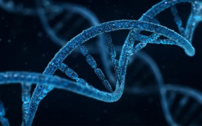 What Are Peptides? A Beginner’s Guide