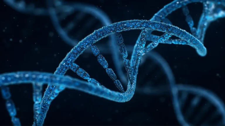 What Are Peptides? A Beginner’s Guide